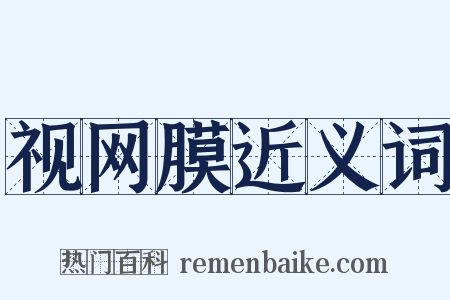 视网膜近义词是什么意思的图片